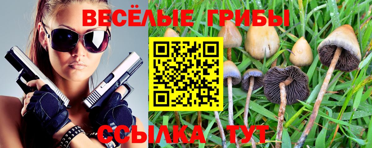 Псилоцибиновые грибы Psilocybe Александров