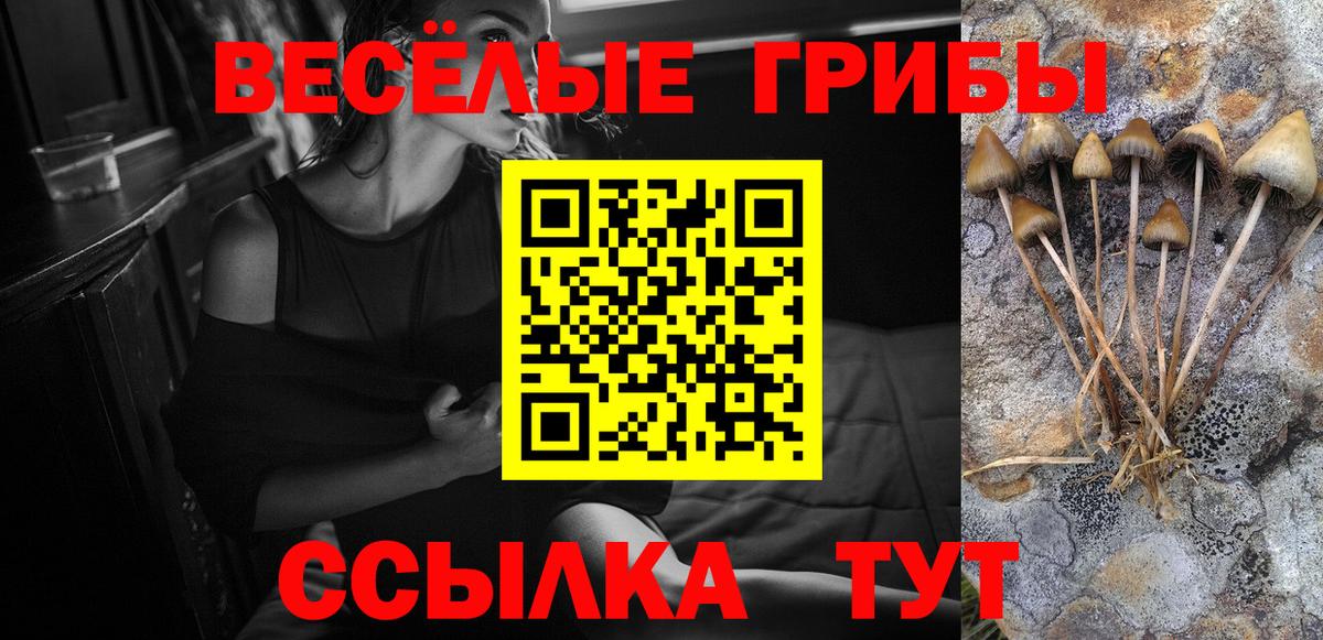 Псилоцибиновые грибы MAGIC MUSHROOMS  Псилоцибиновые грибы GOLDEN TEACHER  Вход с VPN  Александров 